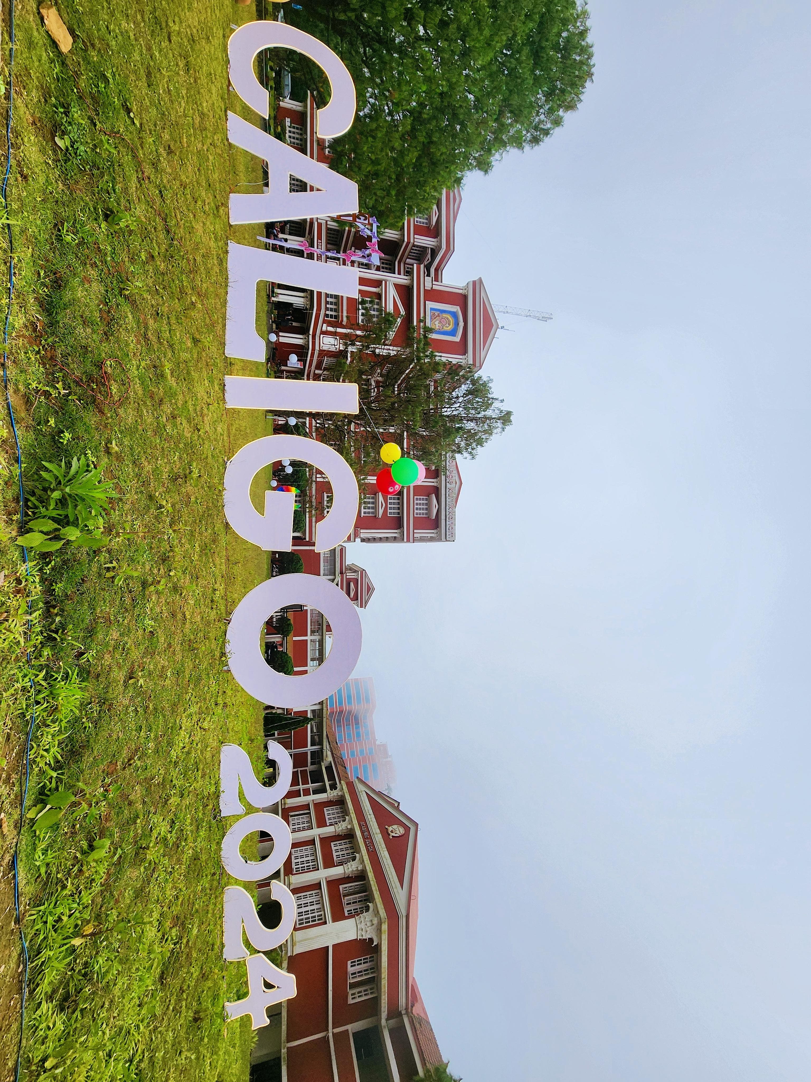 activity image