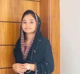 Anshiba V