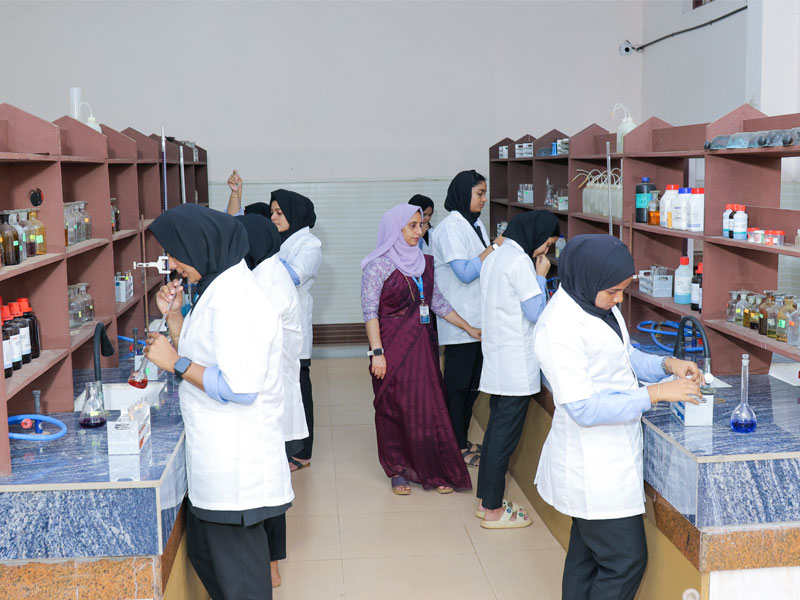 lab