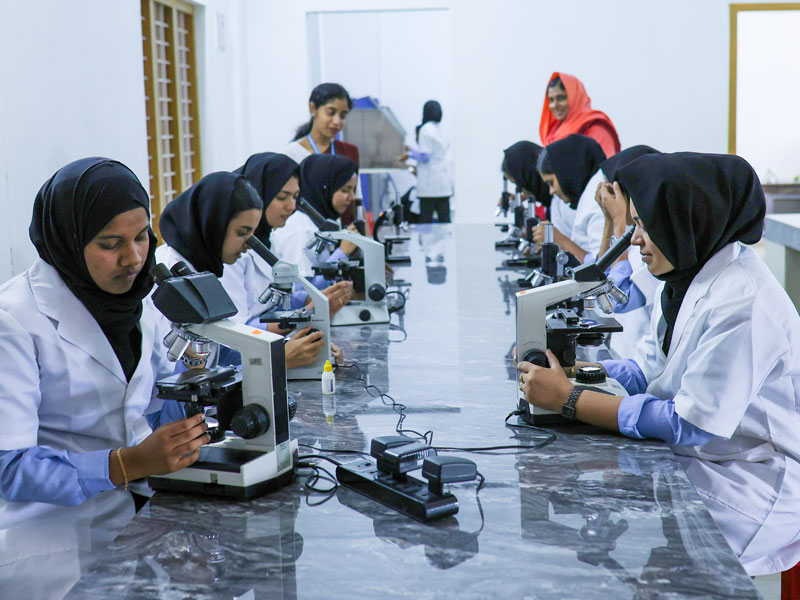 lab